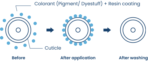 Temporary Coloring Type