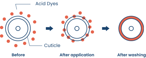 Progressive Dye Type